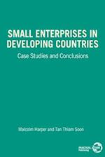 Small Enterprises in Developing Countries