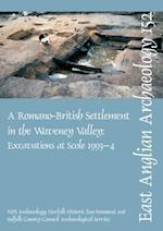 A Roman Settlement in the Waveney Valley