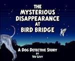The Mysterious Disappearance at Bird Bridge