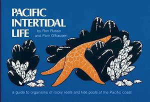 Pacific Intertidal Life