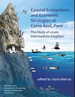 Coastal Ecosystems and Economic Strategies at Cerro Azul, Peru, 59