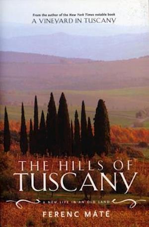 The Hills of Tuscany