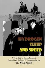 Hydrogen Sleep and Speed