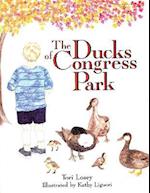 The Ducks of Congress Park