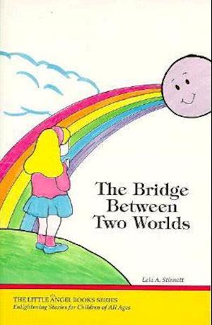 The Bridge Between Two Worlds