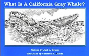 What Is a Gray Whale?