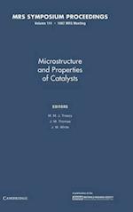 Microstructure and Properties of Catalysts: Volume 111