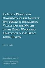 An Early Woodland Community at the Schultz Site 20sa2 in the Saginaw Valley and the Nature of the Early Woodland Adaptation in the Great Lakes Region
