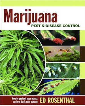 Marijuana Pest and Disease Control