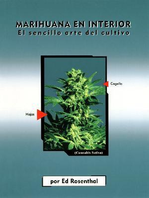 Marihuana En Interior