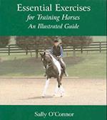 Essential Exercises for Training Horses