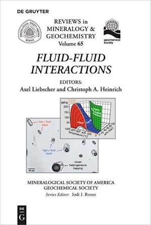 Fluid-Fluid Interactions