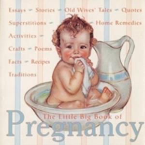 The Little Big Book of Pregnancy