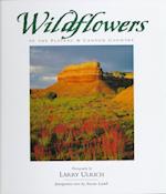 Wildflowers of the Plateau and Canyon Country