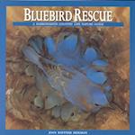 Bluebird Rescue