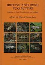 British and Irish Pug Moths - A Guide to Their Identification and Biology