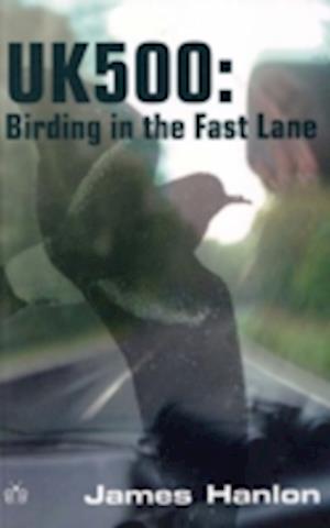 UK500: Birding in the Fast Lane