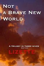 Not a Brave New World - Lizette