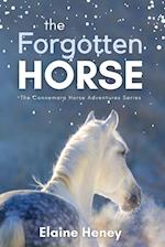 The Forgotten Horse - Book 1 in the Connemara Horse Adventure Series for Kids. The perfect gift for children age 8-12. 