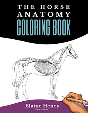 Horse Anatomy Coloring Book For Adults - Self Assessment Equine Coloring Workbook