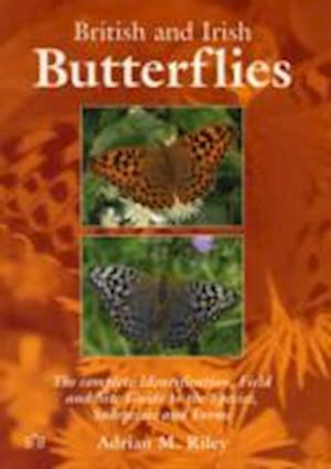 British and Irish Butterflies