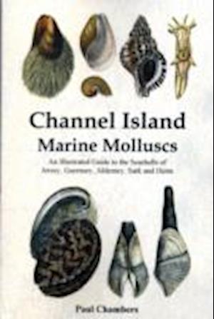 Channel Island Marine Molluscs