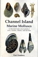 Channel Island Marine Molluscs 