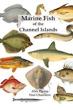 Marine Fish of the Channel Islands