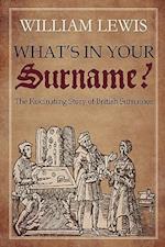 What's in Your Surname?