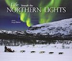 Life beneath the Northern Lights