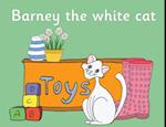 Barney the white cat 