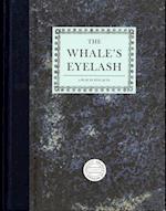 Timothy Prus: The Whale's Eyelash