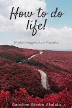 How to do life: Wisdom Nuggets From Proverbs 