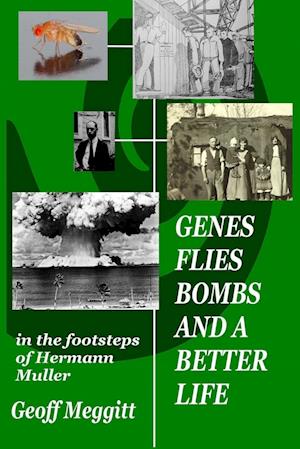 Genes, Flies, Bomb and a Better Life