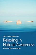Lazy Lama looks at Relaxing in Natural Awareness 