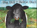 Big Bill the Beltie Bull