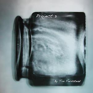 Project 3