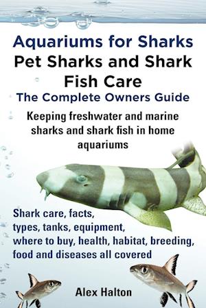 Aquariums for Sharks. Keeping Aquarium Sharks and Shark Fish. Shark Care, Tanks, Species, Health, Food, Equipment, Breeding, Freshwater and Marine All