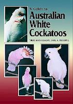 Australian White Cockatoos