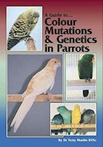 A Guide to Colour Mutations and Genetics in Parrots