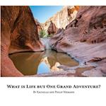 What is Life but One Grand Adventure?