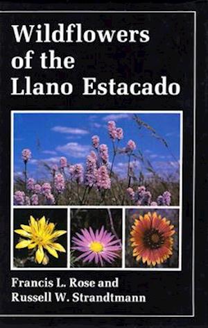 Wildflowers of the Llano Estacado