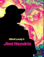 Elliott Landy's Jimi Hendrix