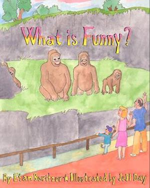 What is Funny?