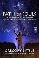 Path of Souls: The Native American Death Journey: Cygnus, Orion, the Milky Way, Giant Skeletons in Mounds, & the Smithsonian 