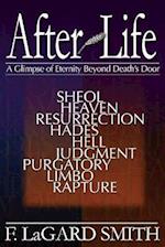 After Life: A Glimpse of Eternity Beyond Death's Door 