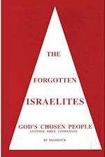 The Forgotten Israelites