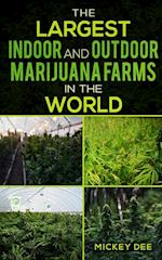 The Largest Indoor and Outdoor Marijuana Farms in the World