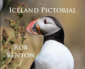 Iceland Pictorial