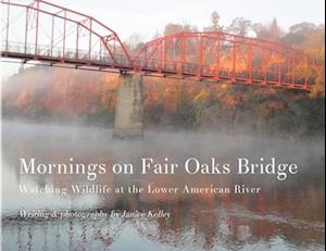 Mornings on Fair Oaks Bridge